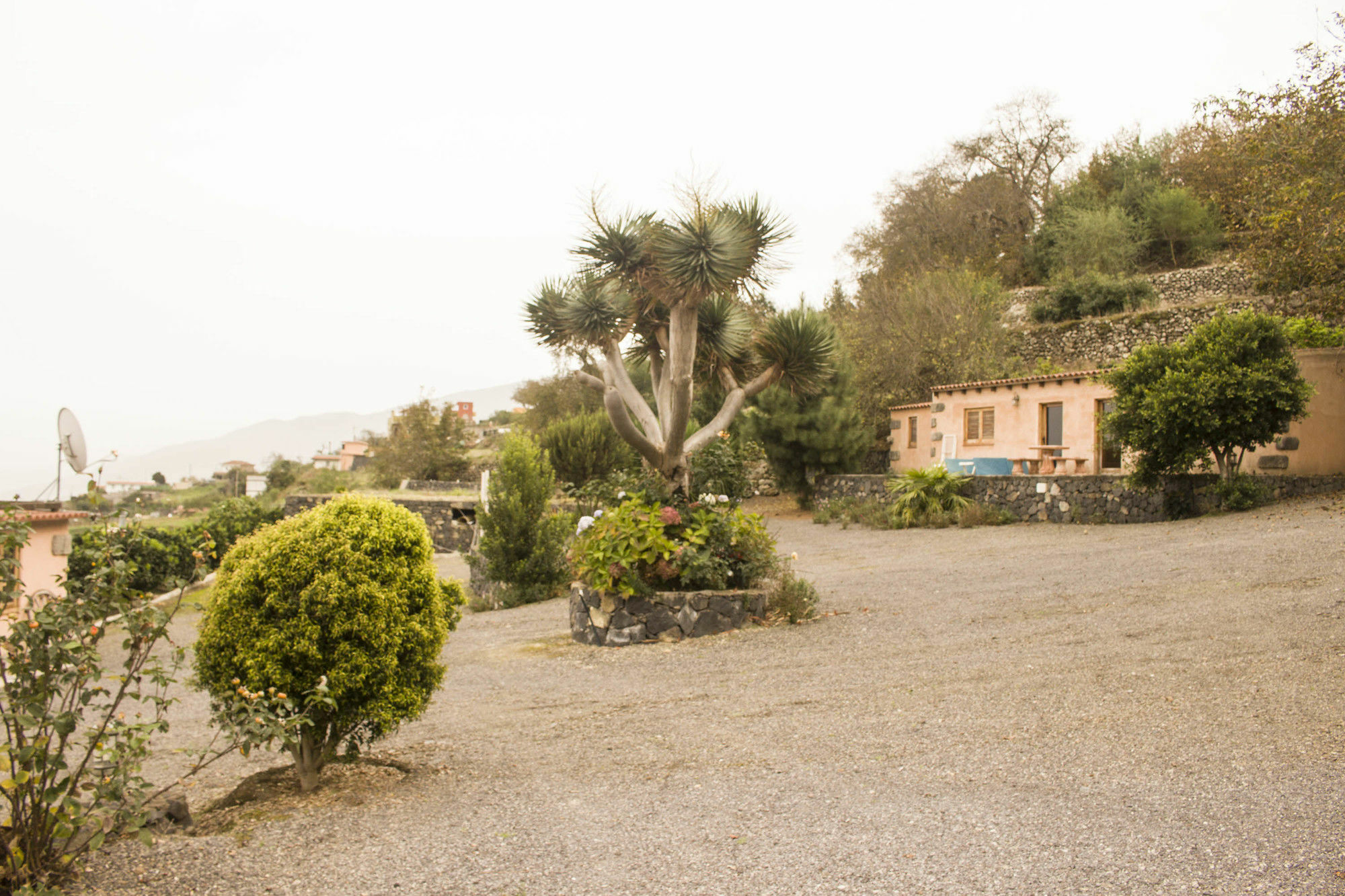 Casa Rural La Tanquera Λος Ρεαλέχος Εξωτερικό φωτογραφία